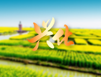 戴南文化藝術(shù)中心舞臺(tái)機(jī)械 舞臺(tái)吊桿 舞臺(tái)阻燃幕布項(xiàng)目 助力本地文化演出升級(jí)，為觀眾帶來更優(yōu)質(zhì)的視聽體驗(yàn)！